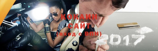 СК Алексин