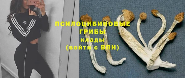 СК Алексин