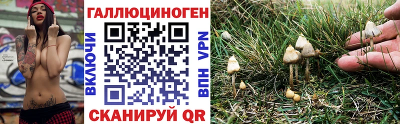 Галлюциногенные грибы Cubensis  где продают наркотики  Братск 